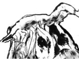 illustration d'Edmond Baudoin : forme abstraite au trait, qui semble représenter le corp d'un homme soulevé par une foule.