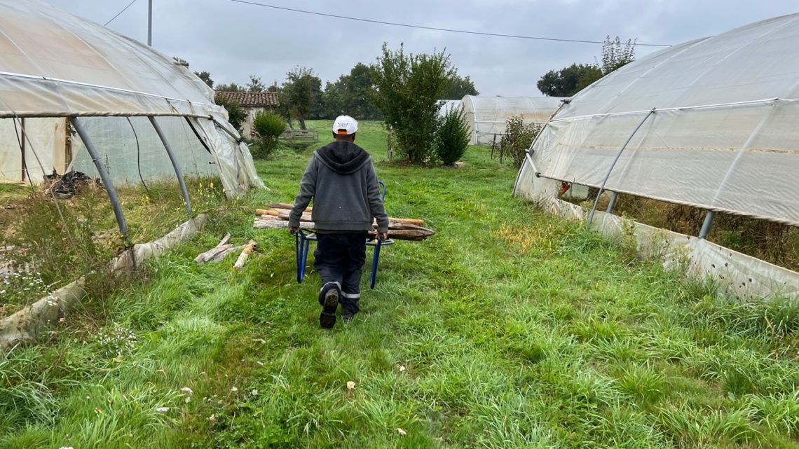 Jardin de Tremplin : un homme travaille, il pousse une brouette dans le jardin entre deux serres