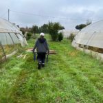 Jardin de Tremplin : un homme travaille, il pousse une brouette dans le jardin entre deux serres