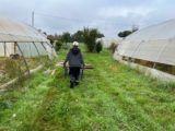 Jardin de Tremplin : un homme travaille, il pousse une brouette dans le jardin entre deux serres