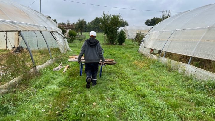 Jardin de Tremplin : un homme travaille, il pousse une brouette dans le jardin entre deux serres