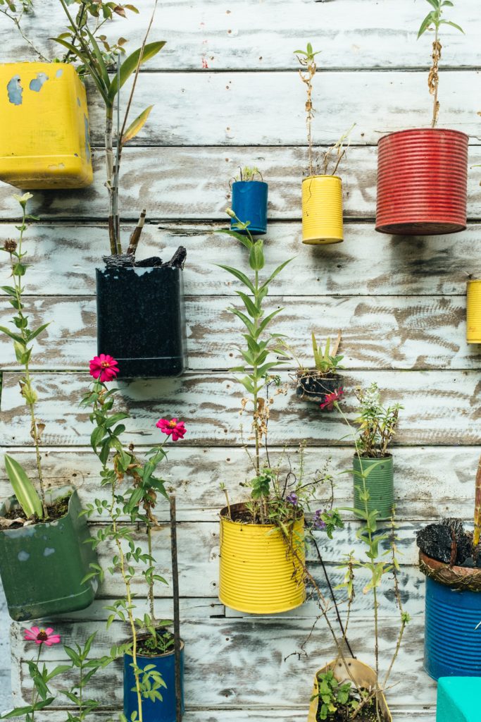 Des plantes suspendues dans des pots recyclés (boites de conserve, ...)